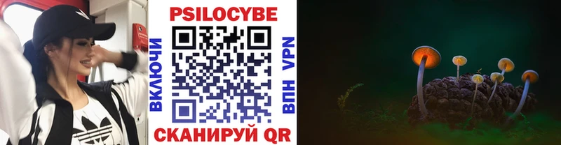 Псилоцибиновые грибы MAGIC MUSHROOMS  Гусиноозёрск 